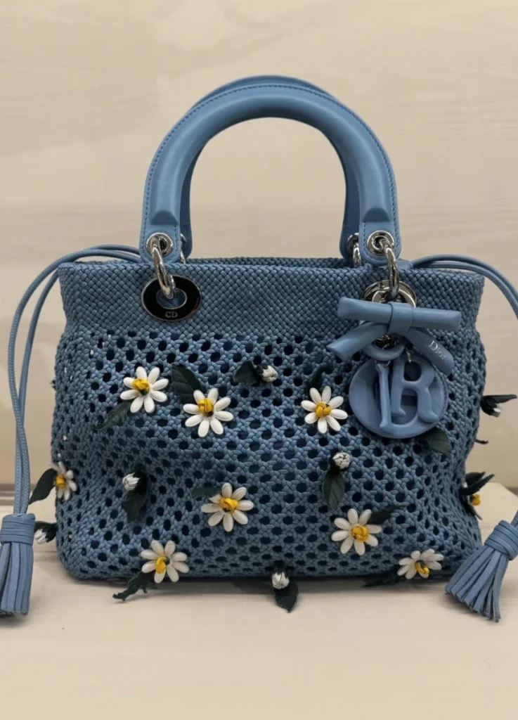 Dior Pre-Fall 2026 bag