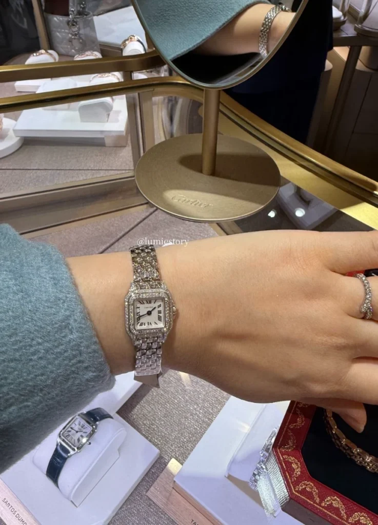 Cartier The Panthère Mini Semi-Pavé Watch (White gold)
photograph by Lumie