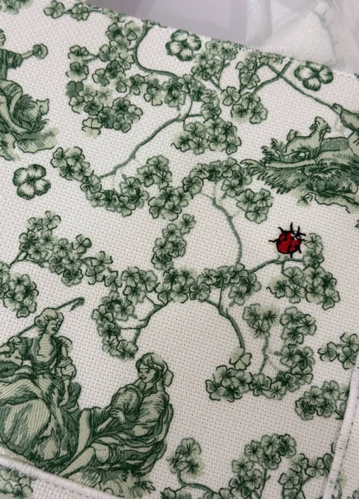 Dior Spring/Summer 2026 Booktote