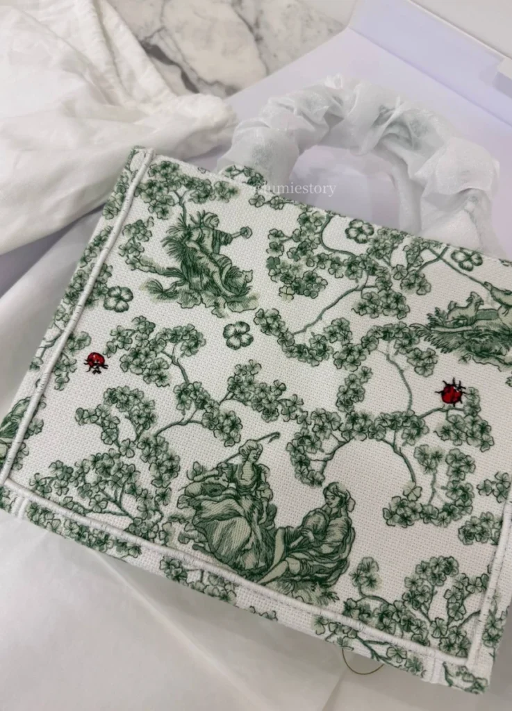 Dior Spring/Summer 2026 Booktote