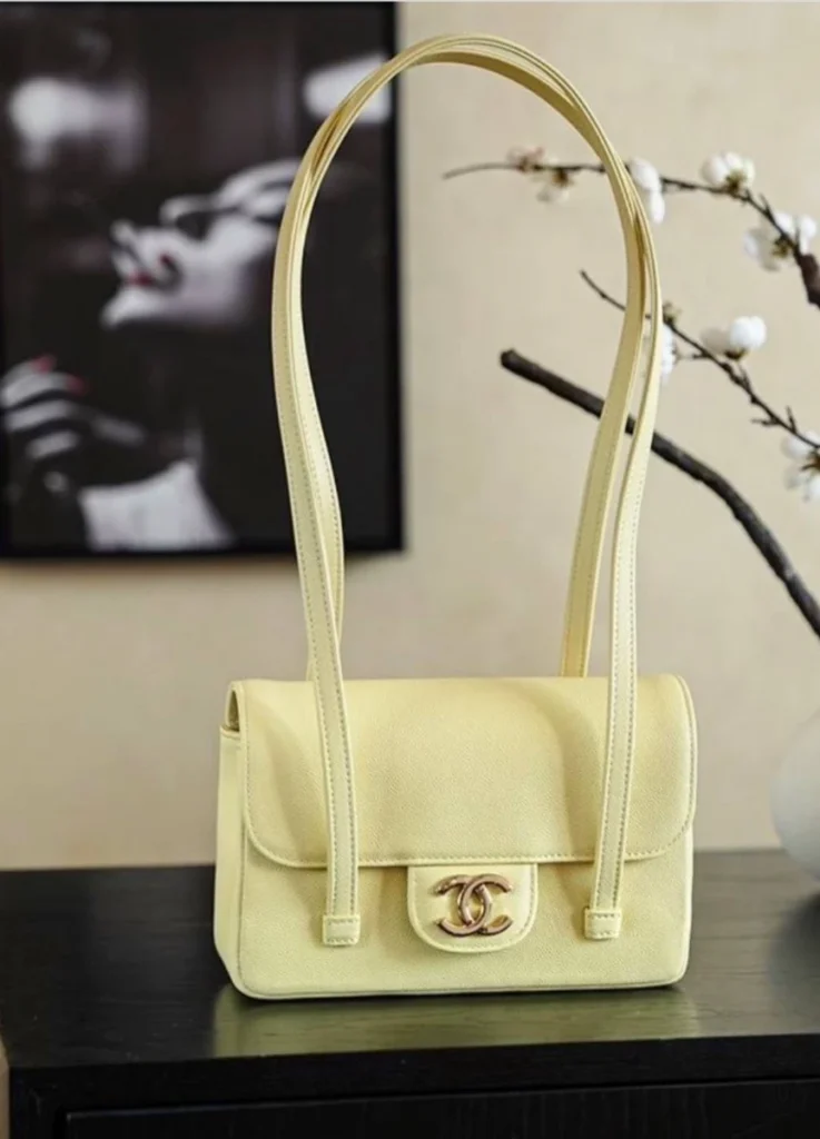 Chanel 26P Preppy Coco bag