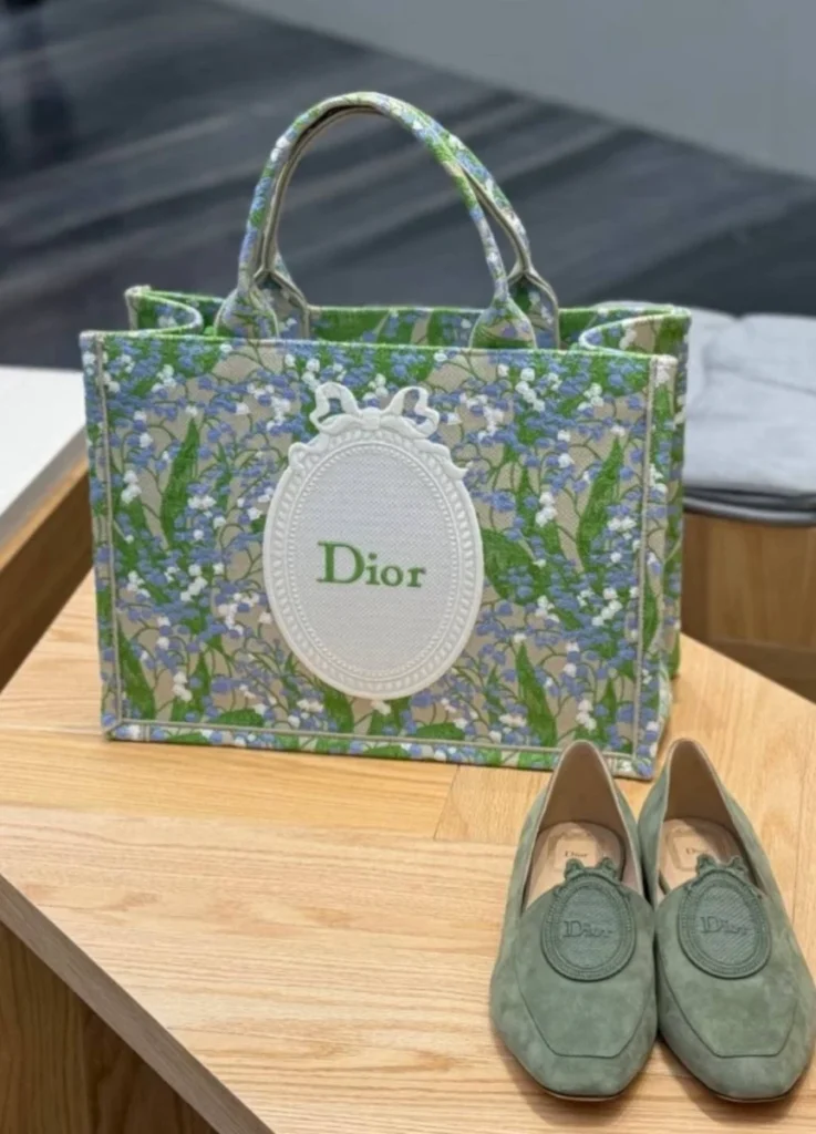 Dior Book Tote Small