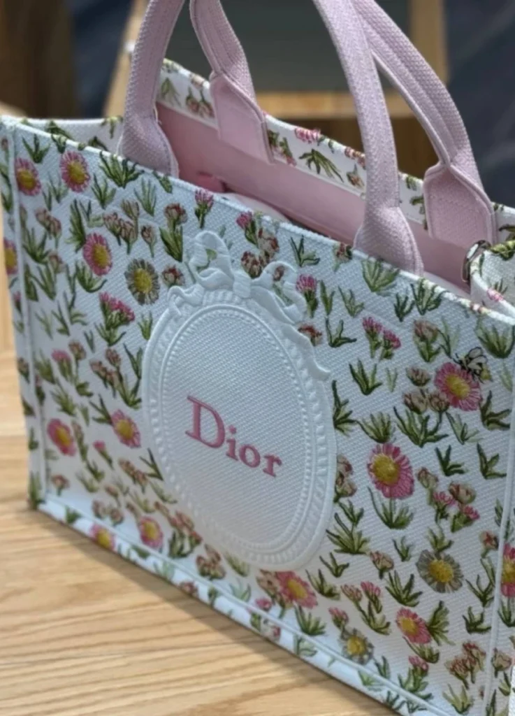 Dior Book Tote Medium
