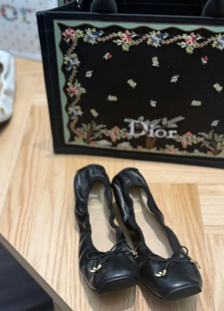 Dior Book Tote Small
