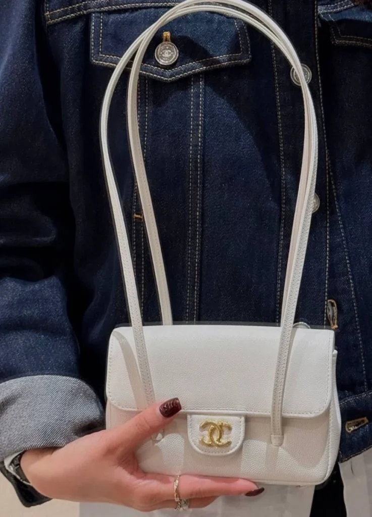 Chanel 26P Preppy Coco bag