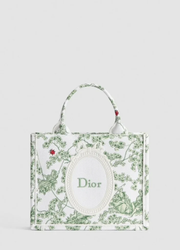 Dior Spring/Summer 2026 Booktote