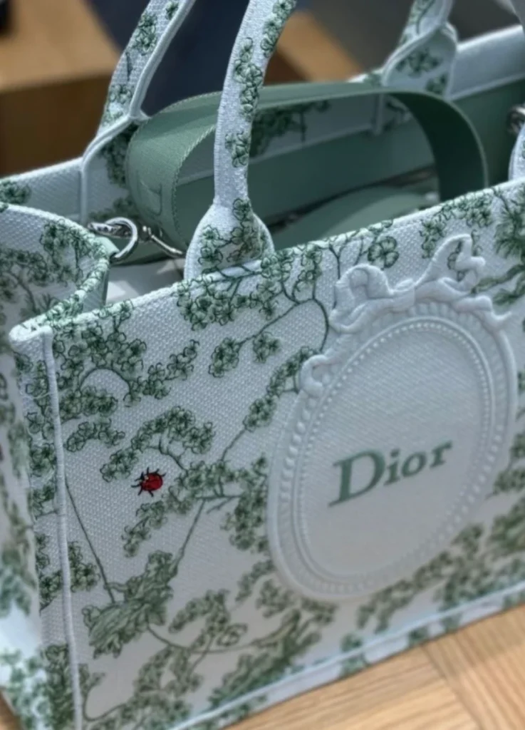 Dior Book Tote Small