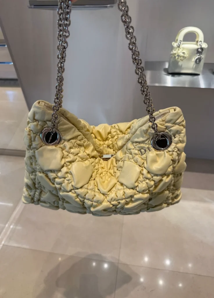 Dior The Crunchy Bag