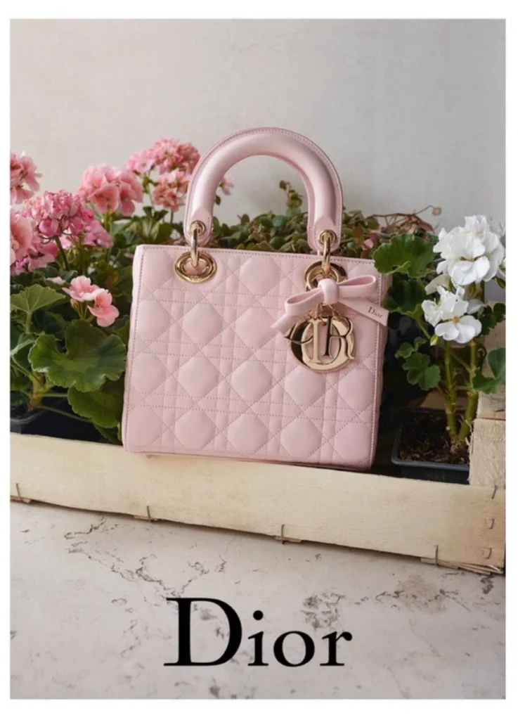 Lady Dior by Jonathan Anderson
