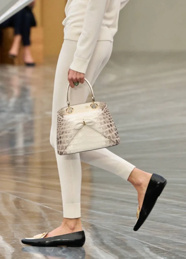 Dior 2026SS Bags - Dior Cigale Bag
