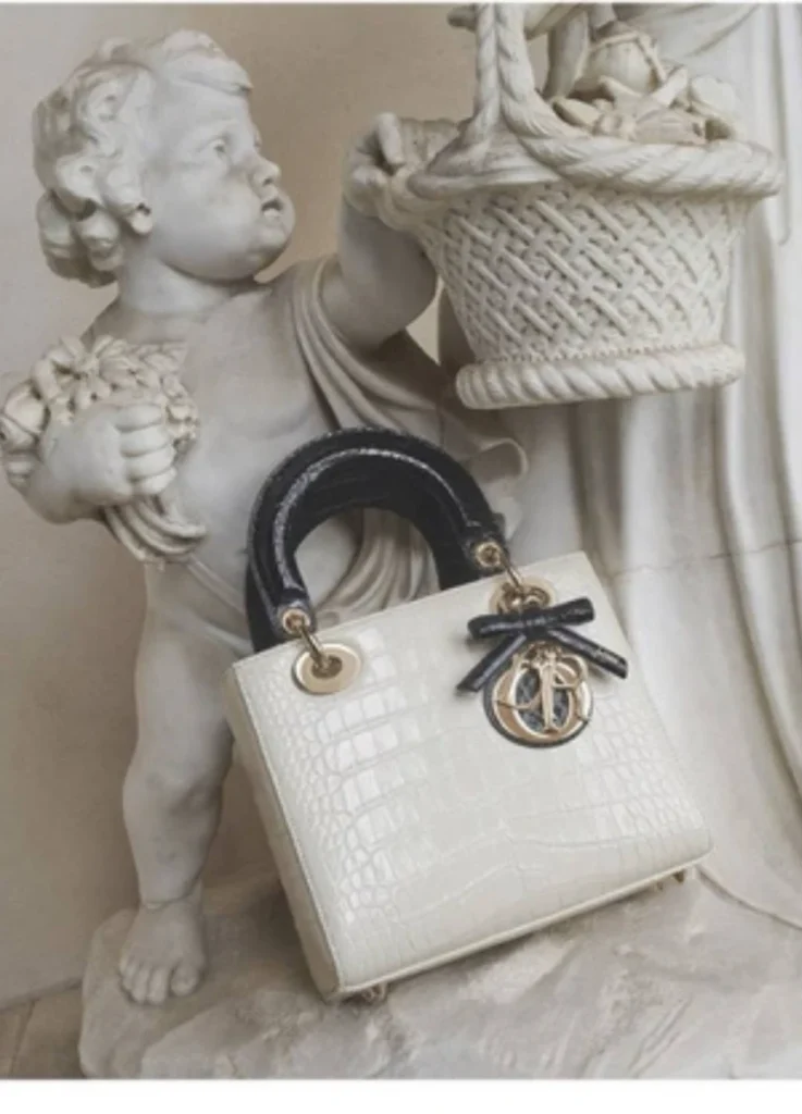 Lady Dior by Jonathan Anderson
