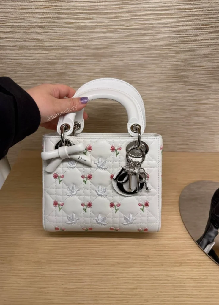 Lady Dior by Jonathan Anderson
