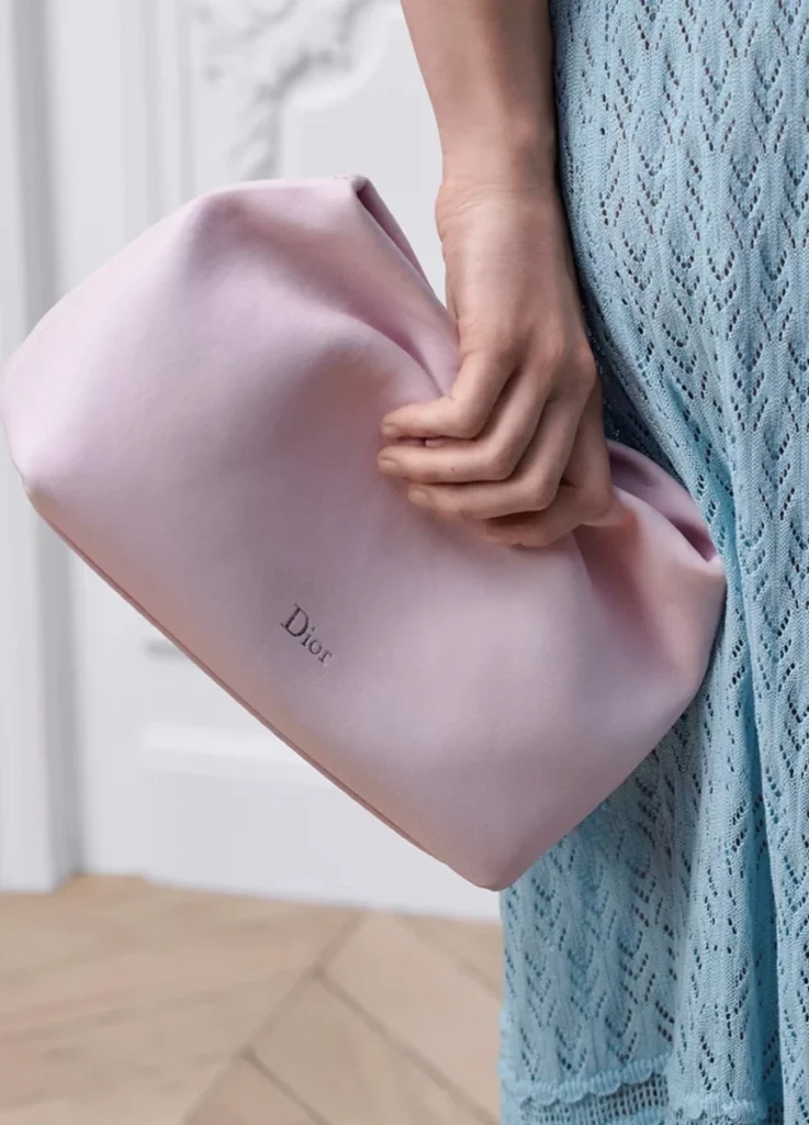 The Dior Bow Bag Small