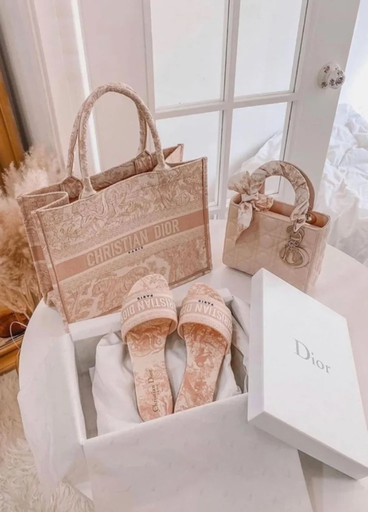 Dior Book Tote bag medium
