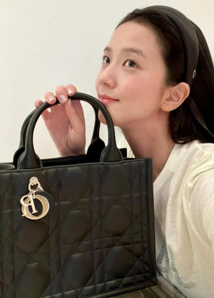 Dior Book Tote bag Small
