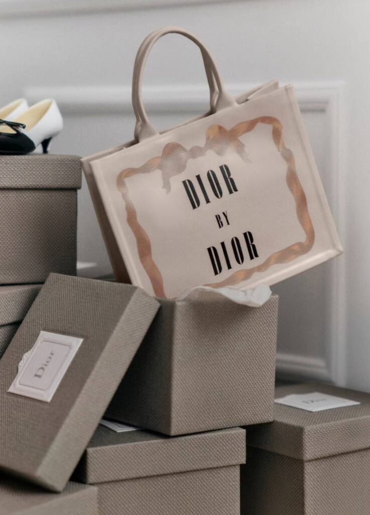 Dior book tote by Jonathan Anderson