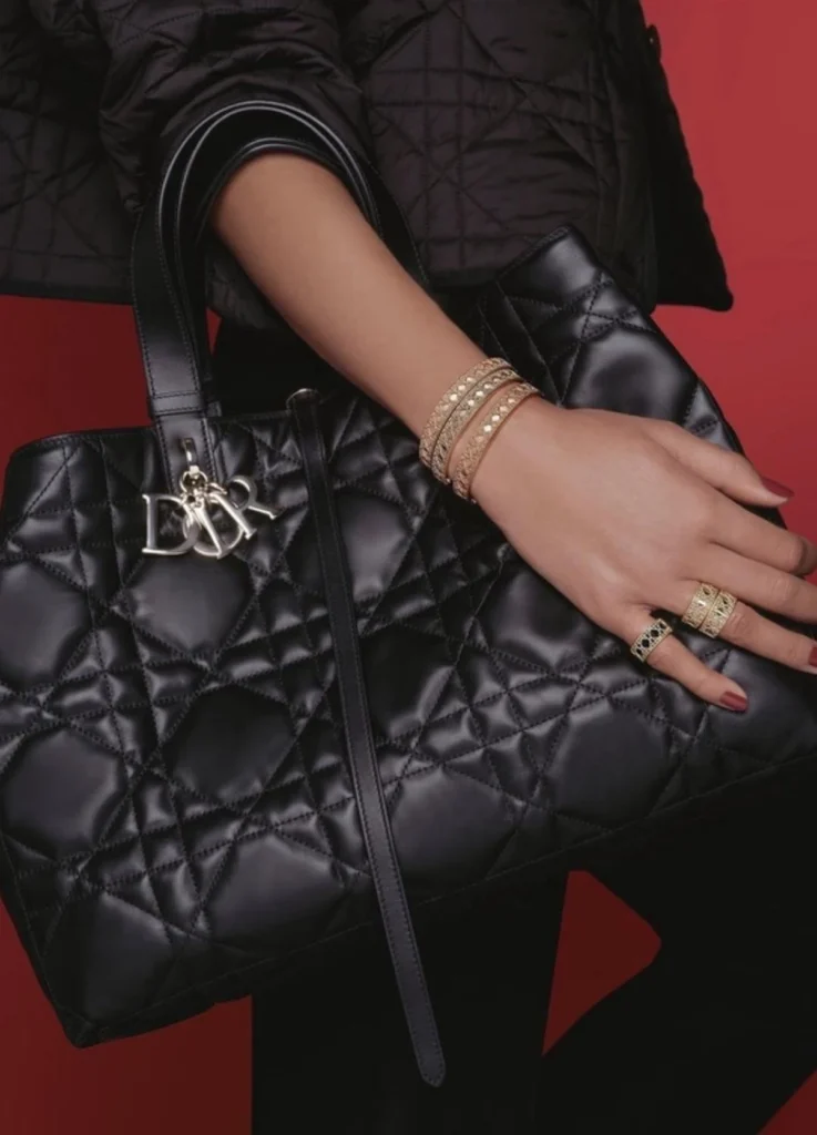 Medium Dior Toujours Bag
