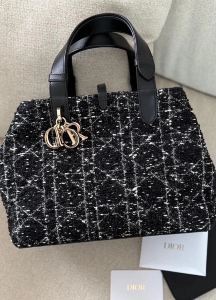 Medium Dior Toujours Bag
