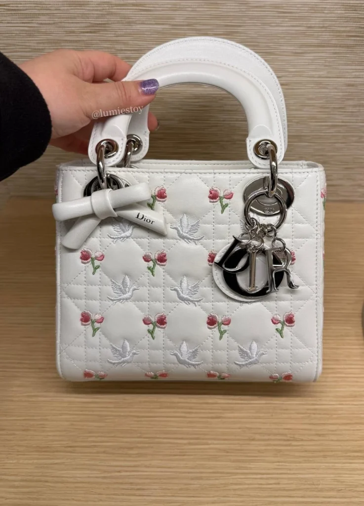 Dior Lady Dior bag (26SS)