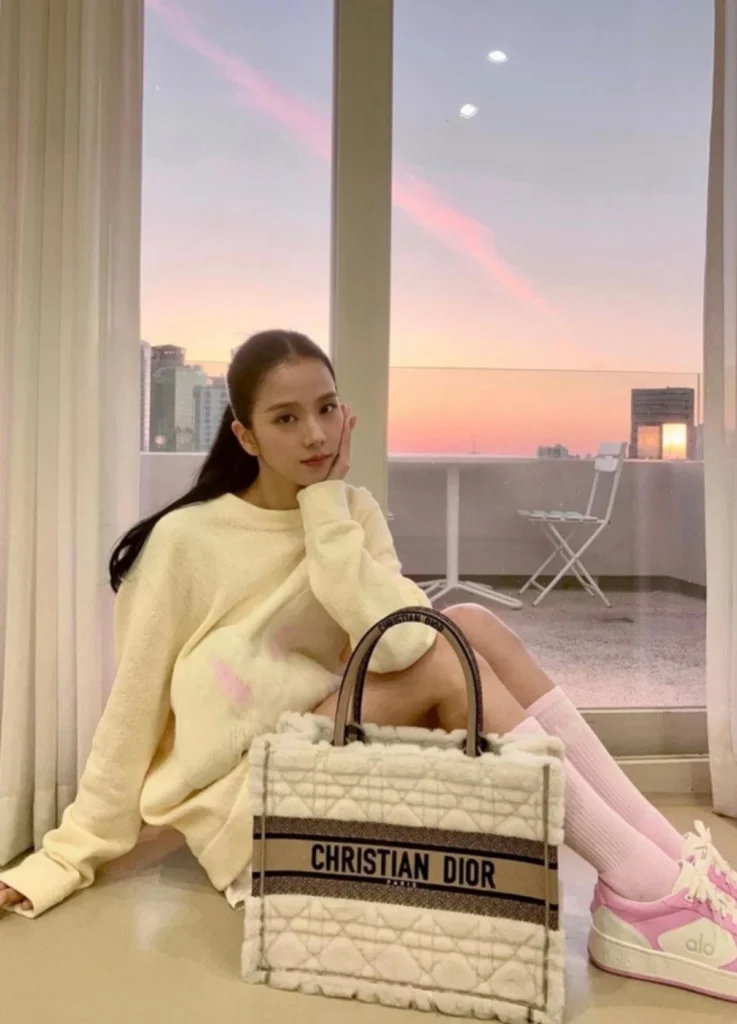 Dior Book Tote Medium
