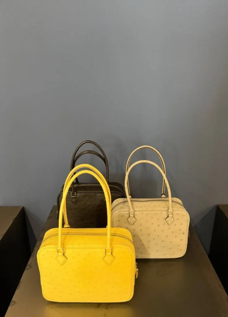 Hermès Fall Winter 2026 Bag
 - Mini Plume
