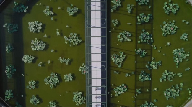 Dior Fall/Winter 2026 Runway
