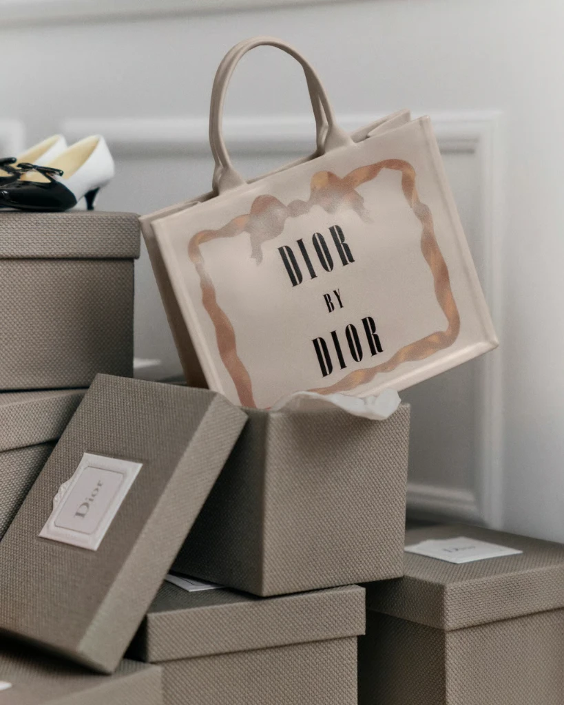 Dior book tote by Jonathan Anderson
