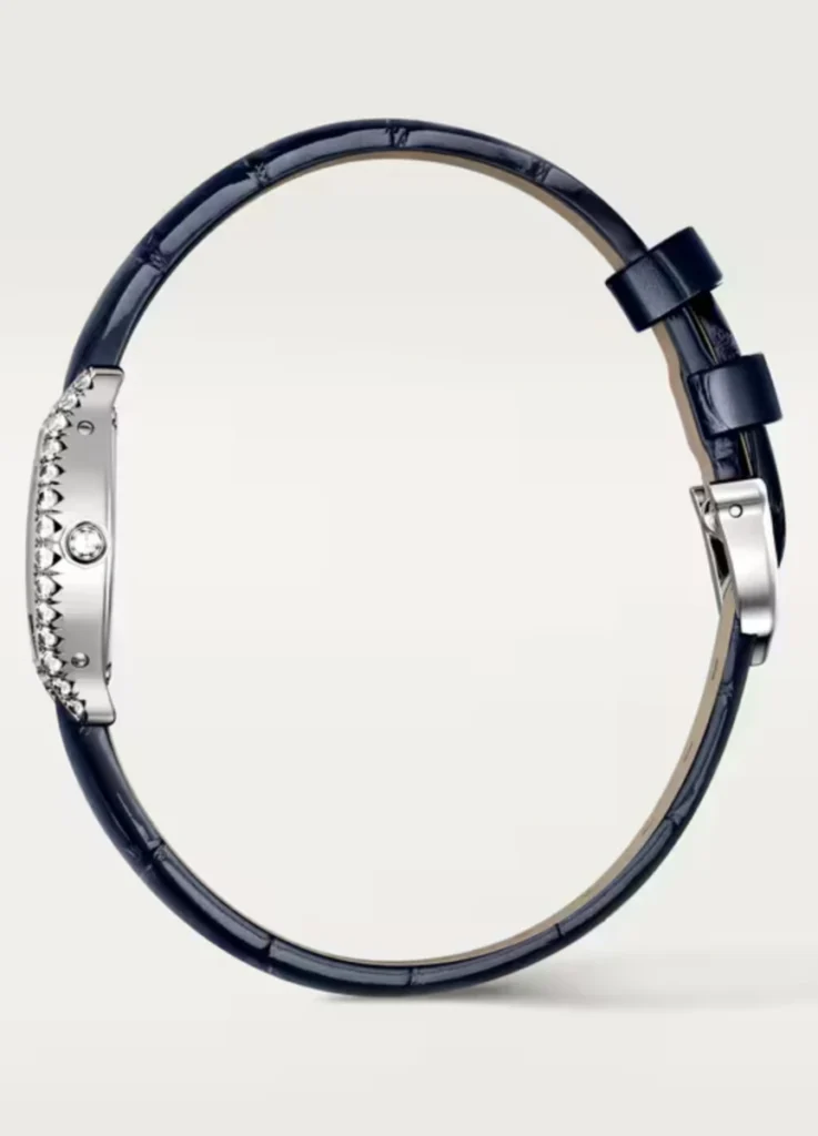 Tortue watch mini