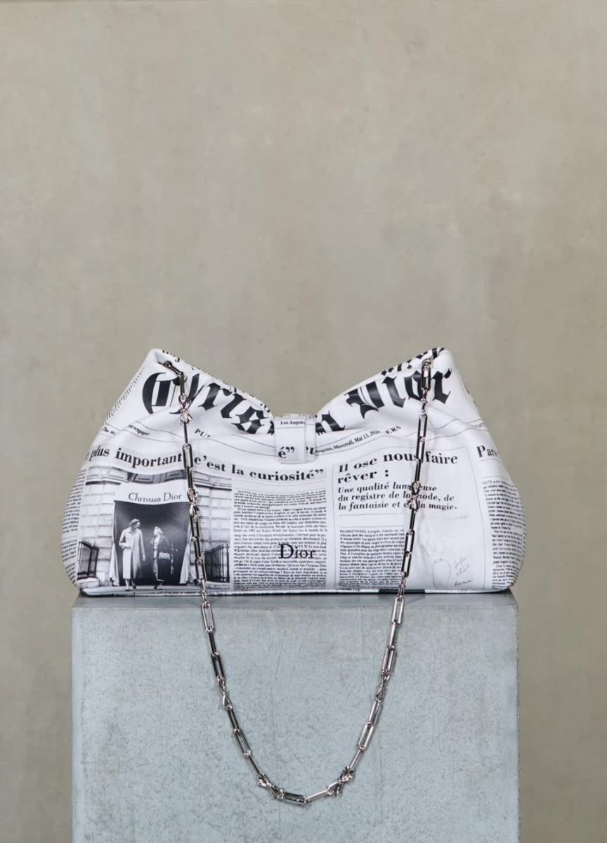 The Newspaper Bag (Dior Cruise 2027)