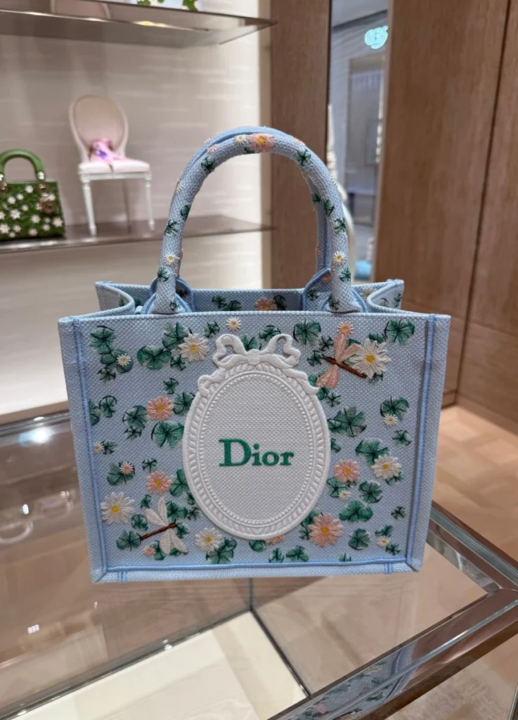 Dior Winter 2026 Book Tote